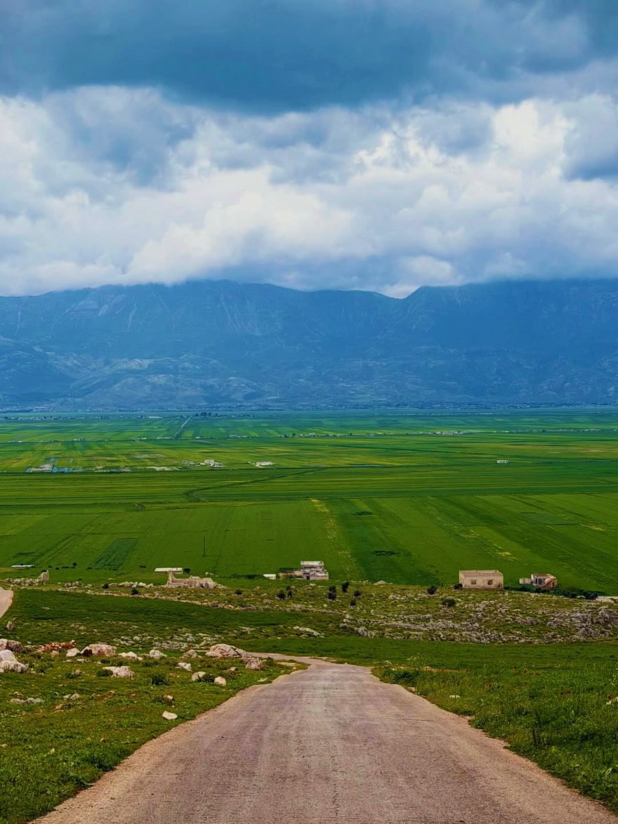 syrvisual's tweet photo. Hama, Syria 🪻 https://t.co/KGoYuUw934