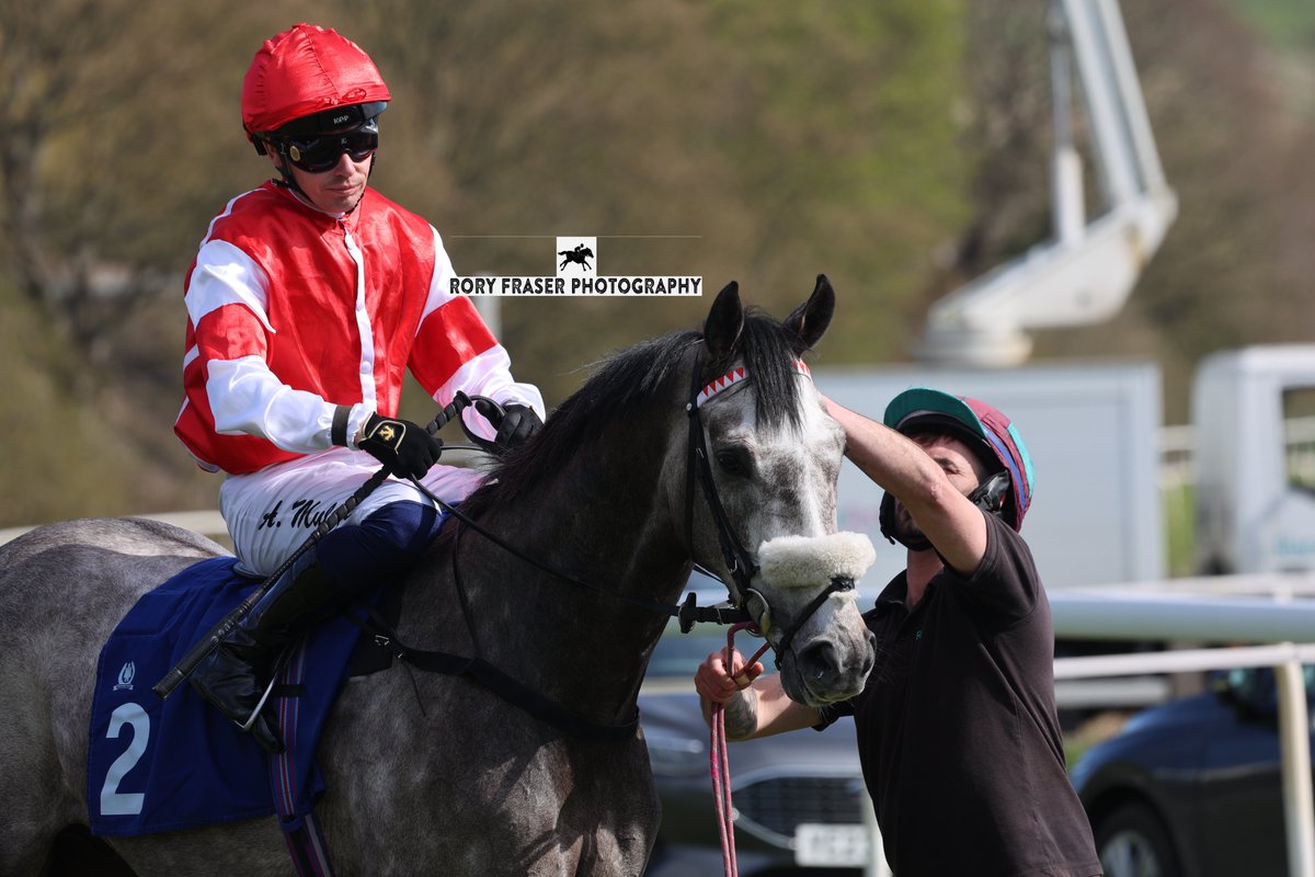 92RoryF's tweet photo. CLOUGH (Mastercraftsman x Tantalising) at Pontefract this week for a class four novice (1m).
Trained by @dylancunha_uk and owned by Matt Broughton, Tom Hughes &amp; Dylan Cunha.
A distant relative to dual winning hurdler Magen's Star, making his racecourse debut here. https://t.co/tz3mkF5o9J