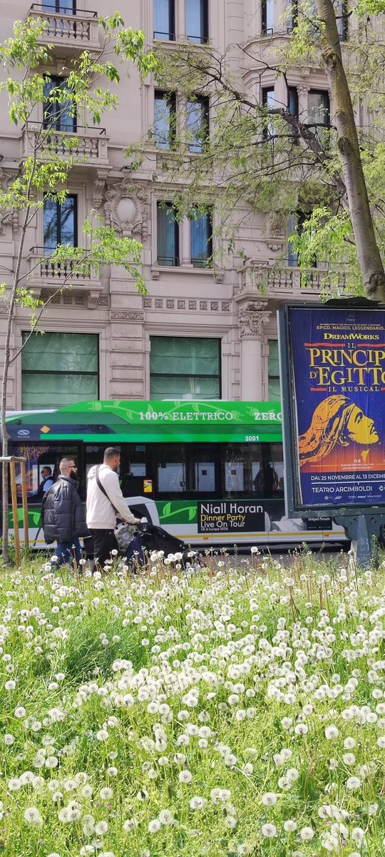 bibbiᴺᵸ⁴⁴ || LOUIS DAY tweet media