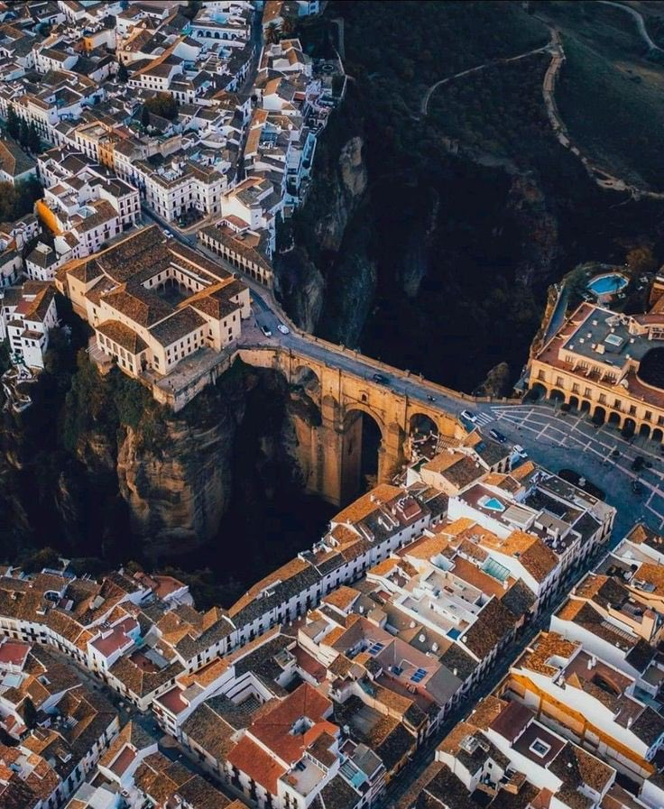 Amira Belalia tweet media