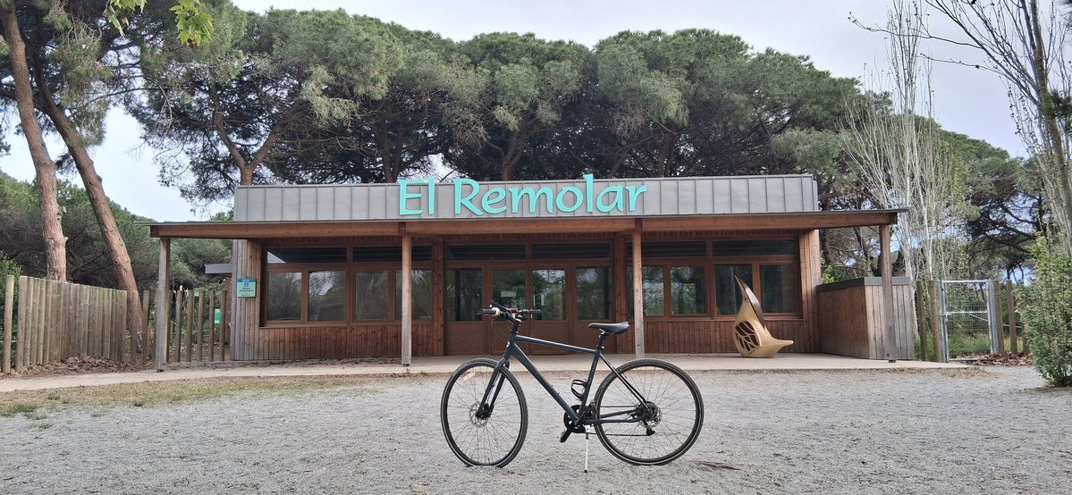 jairoalonso tweet media