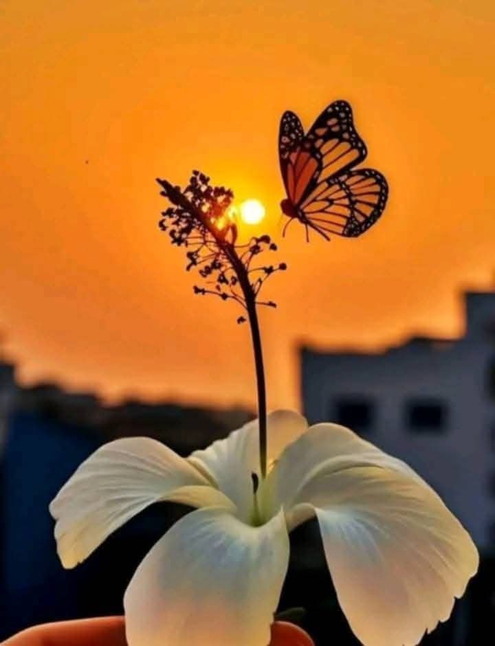 Ne demişti Ahmed Arif ;
" Sevdiklerinize yüreğinizde ne varsa hissettirin,
Belki; ne yarın olur,
Nede yarın o olur."
İyi geceler