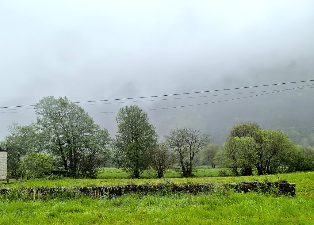 Cantabria tiene algo especial… 🌿🇪🇸
Pueblos de piedra, calles con historia y paisajes cubiertos de niebla que parecen detenidos en el tiempo 🌫️
De esos lugares que se caminan despacio… y se sienten más de lo que se explican. ✨
#Cantabria #España #Viajar #PueblosConEncanto
