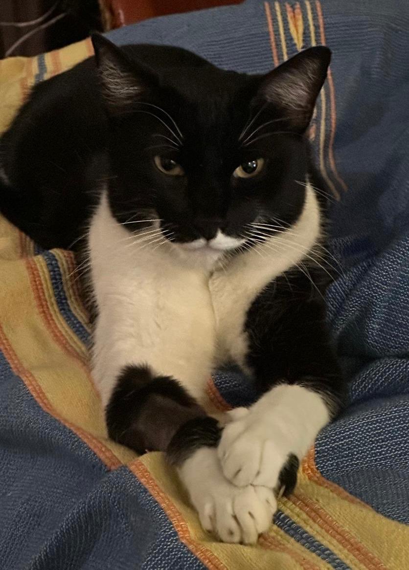 Naturaleza 😍 tweet media