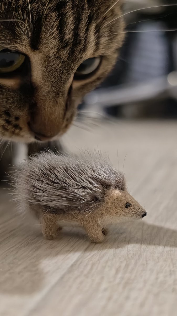 Машенька tweet media