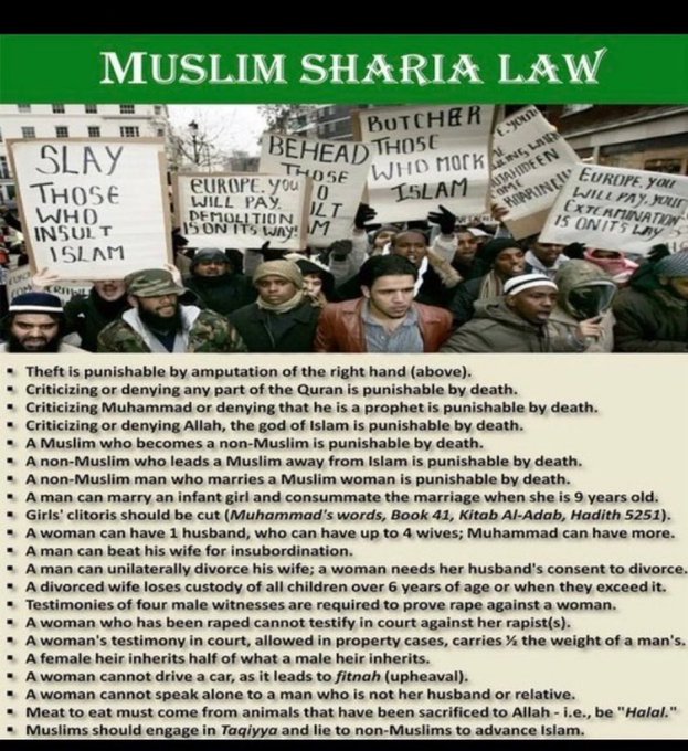 Peter Lowrie tweet media