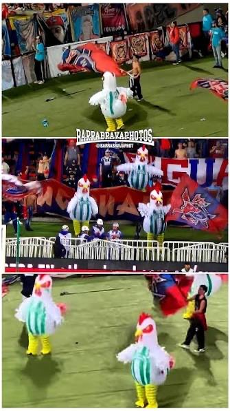 JuanPHerreraS's tweet photo. Te vestiste de gallina https://t.co/QoHvG7OGPw