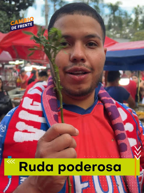 JuanPHerreraS's tweet photo. Intentaste con la ruda https://t.co/jPvmgzkDSx