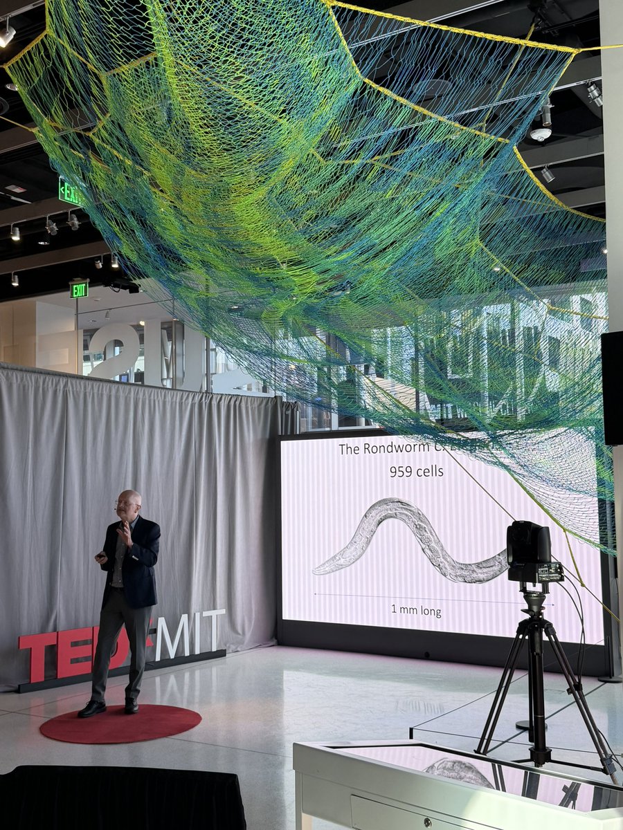 TEDxMIT tweet media
