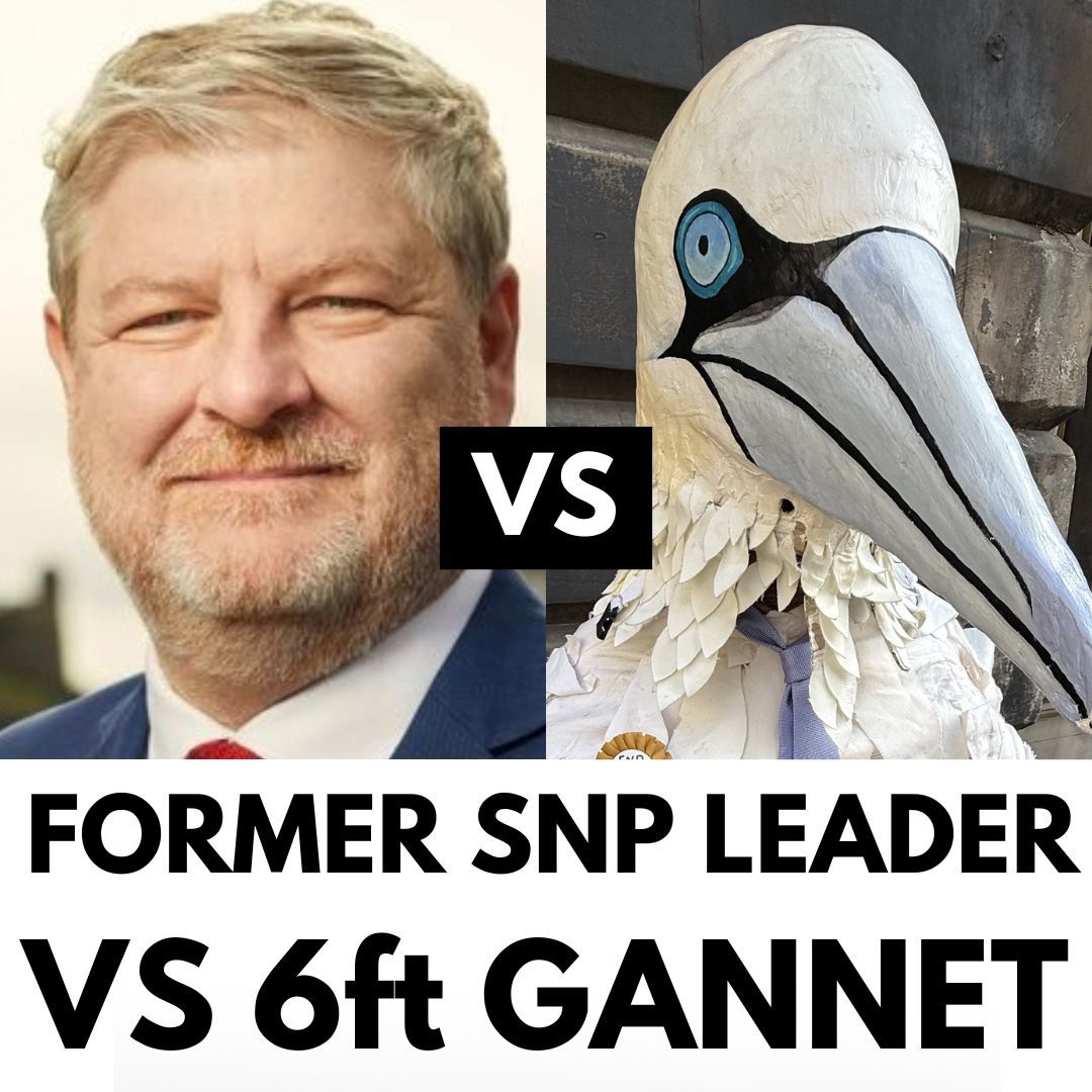 ProtectTheWild_'s tweet photo. This isn’t satire.

A former SNP leader is standing in the Scottish election against a candidate dressed as a 6ft gannet.

The ‘Gandidate’ is running on a single policy campaign to end the Guga hunt. https://t.co/4oGFPuF0xg