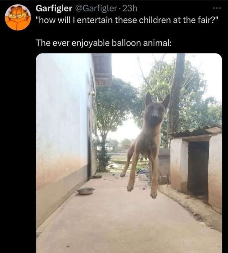 Internet Slop tweet media