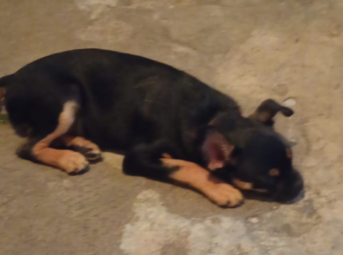 Iztacalco Noticias tweet media