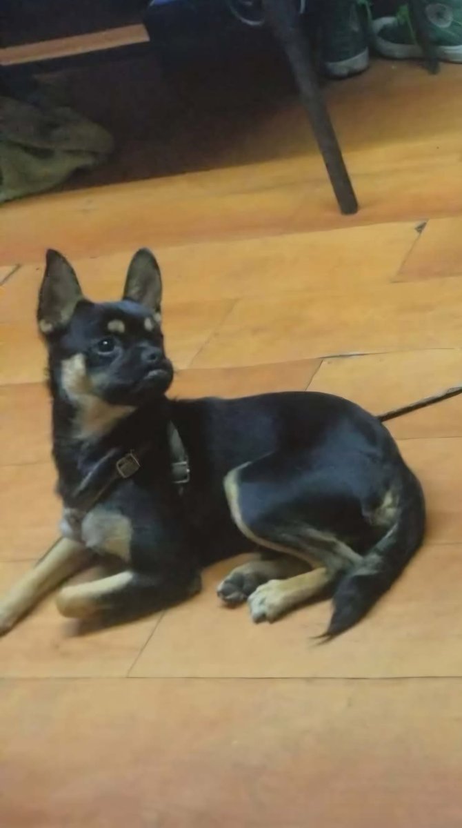 Iztacalco Noticias tweet media