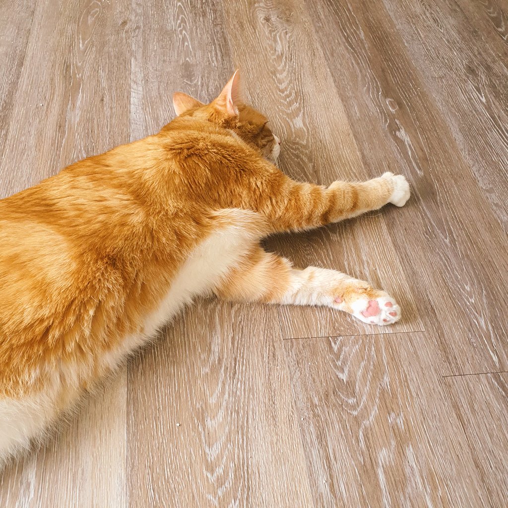 빛과 소금이 tweet media