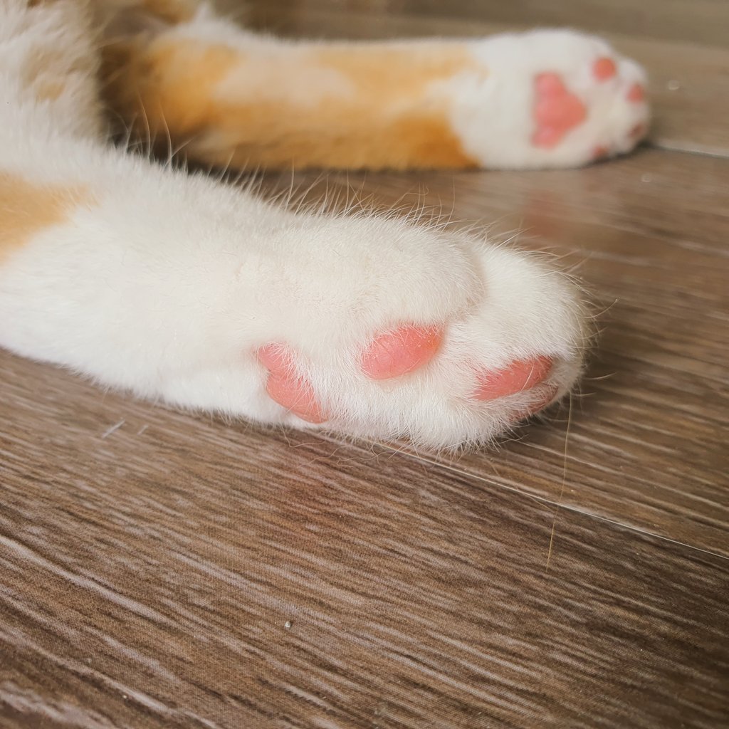 빛과 소금이 tweet media