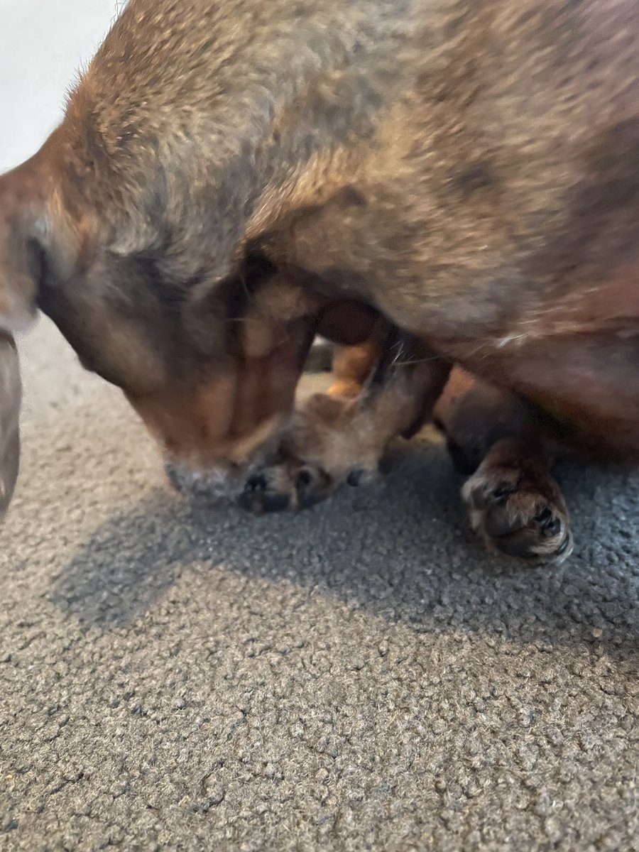 Kaori@NZ🇳🇿ニューアース案内人 tweet media