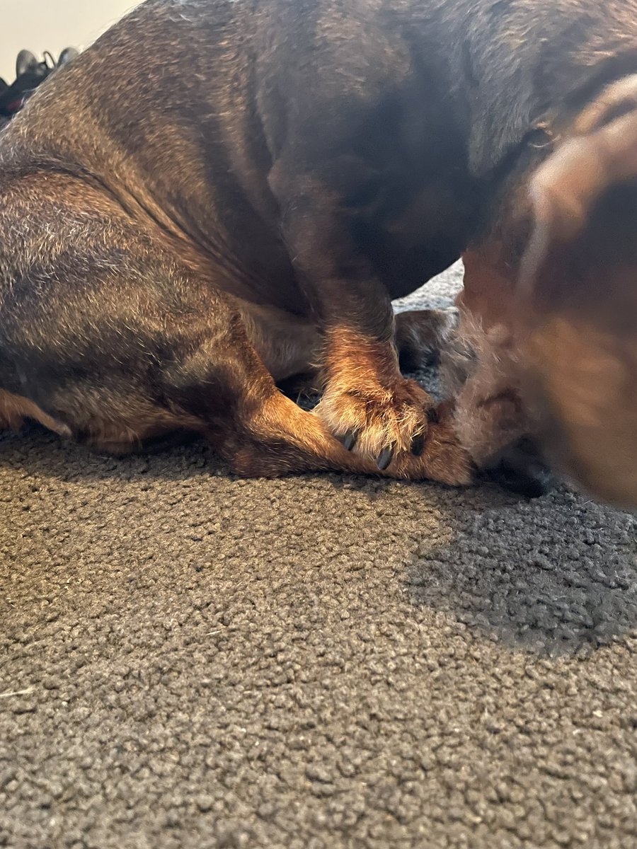 Kaori@NZ🇳🇿ニューアース案内人 tweet media