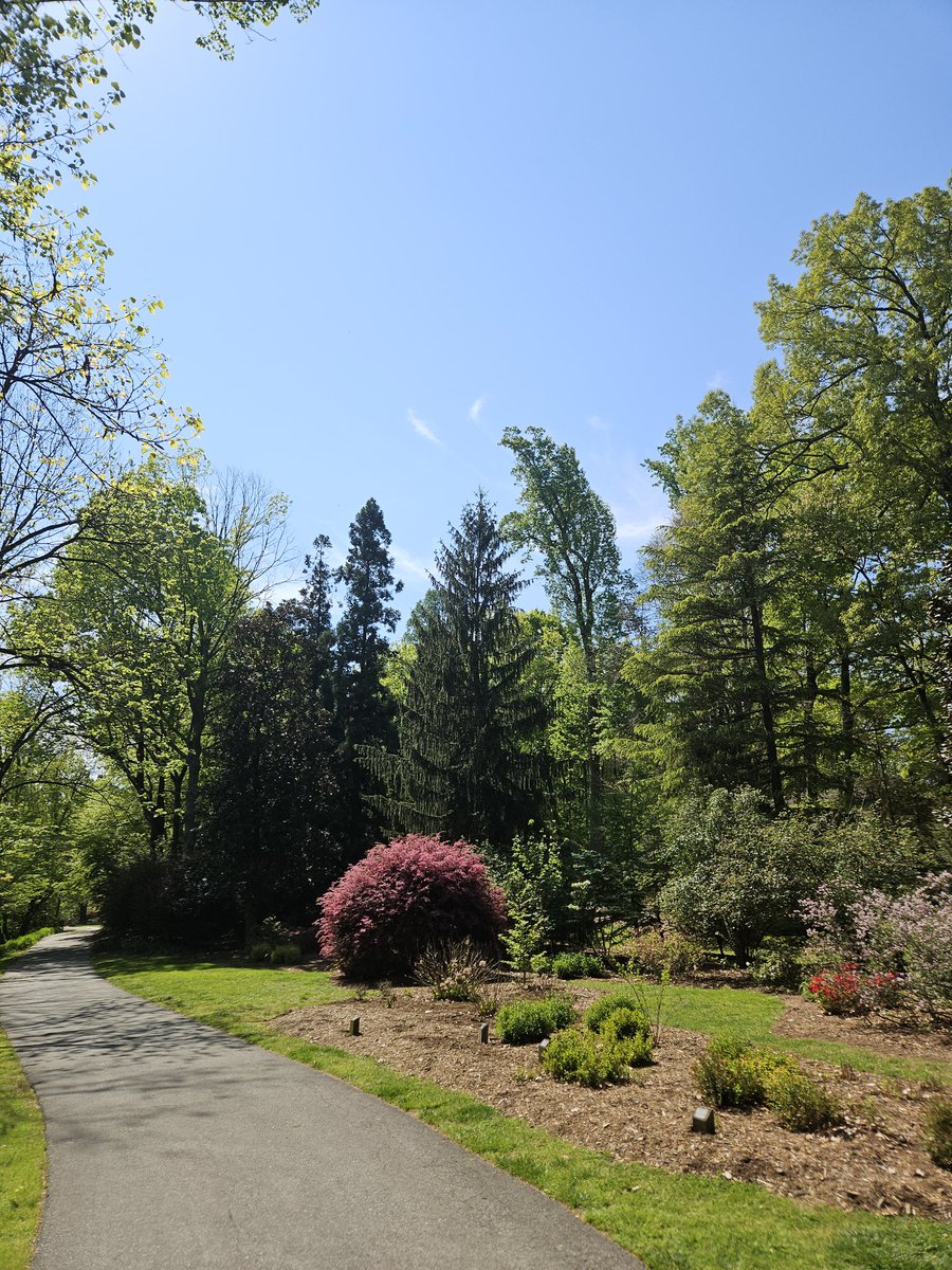 God Speed tweet media