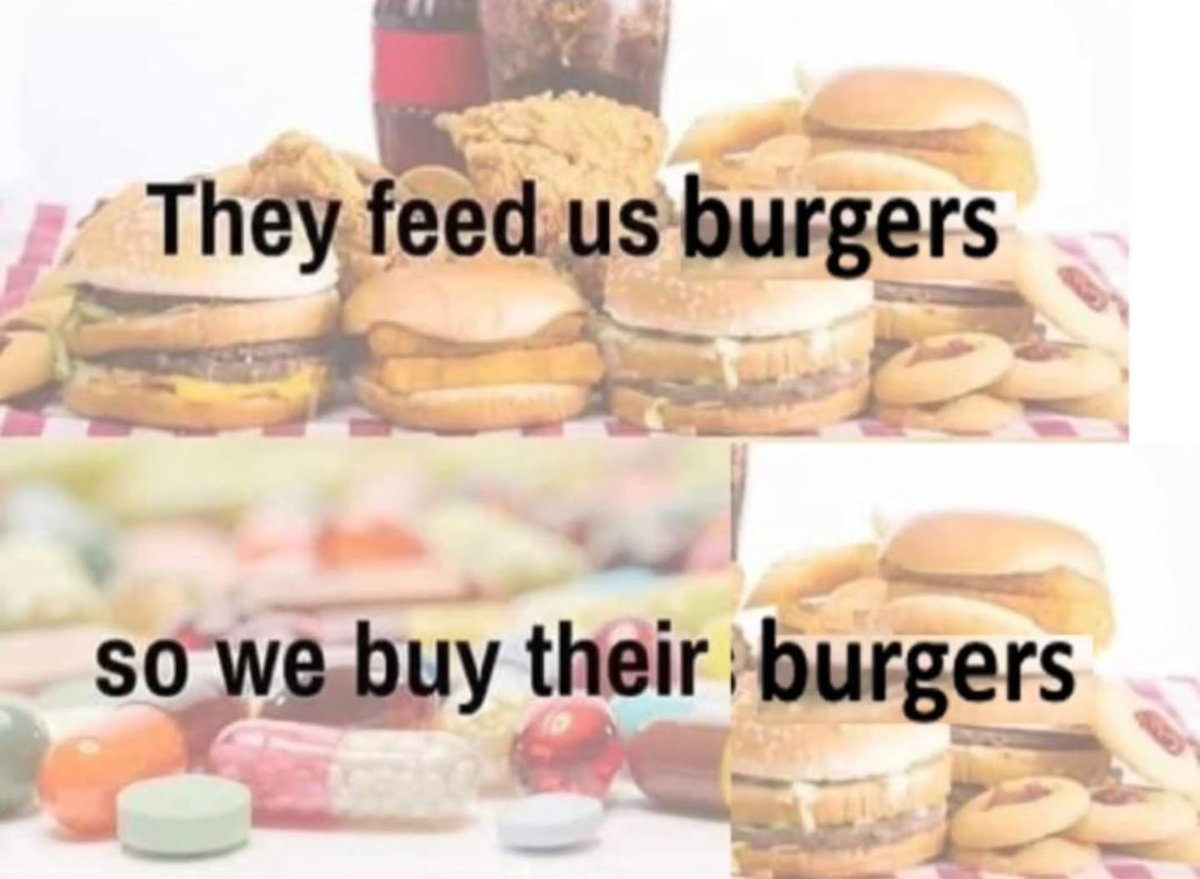 The Anarchist Turtle 🏴Ⓐ🔆 tweet media