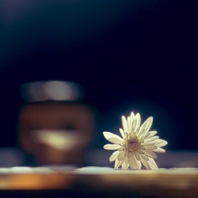 حــنــان tweet media