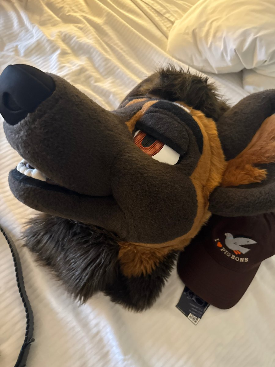 Voss 🔜 FCL tweet media