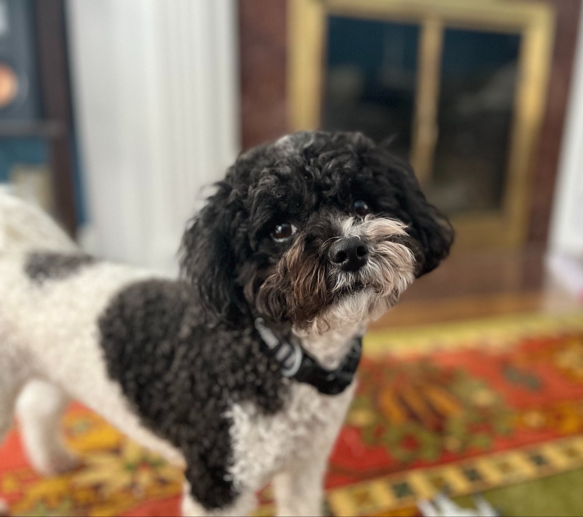 Michael Murray tweet media