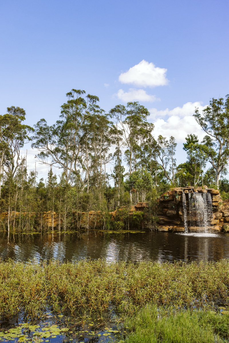 CrocHunterLodge tweet media