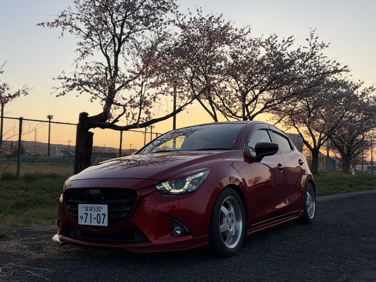 クマデミ tweet media