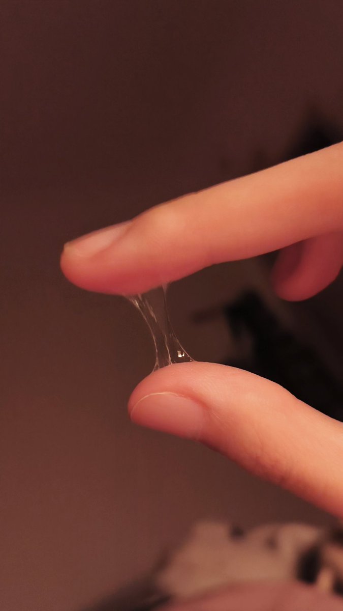 面包猫 tweet media