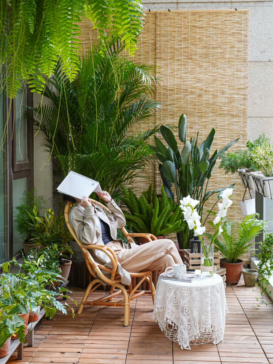 sean kane tweet media