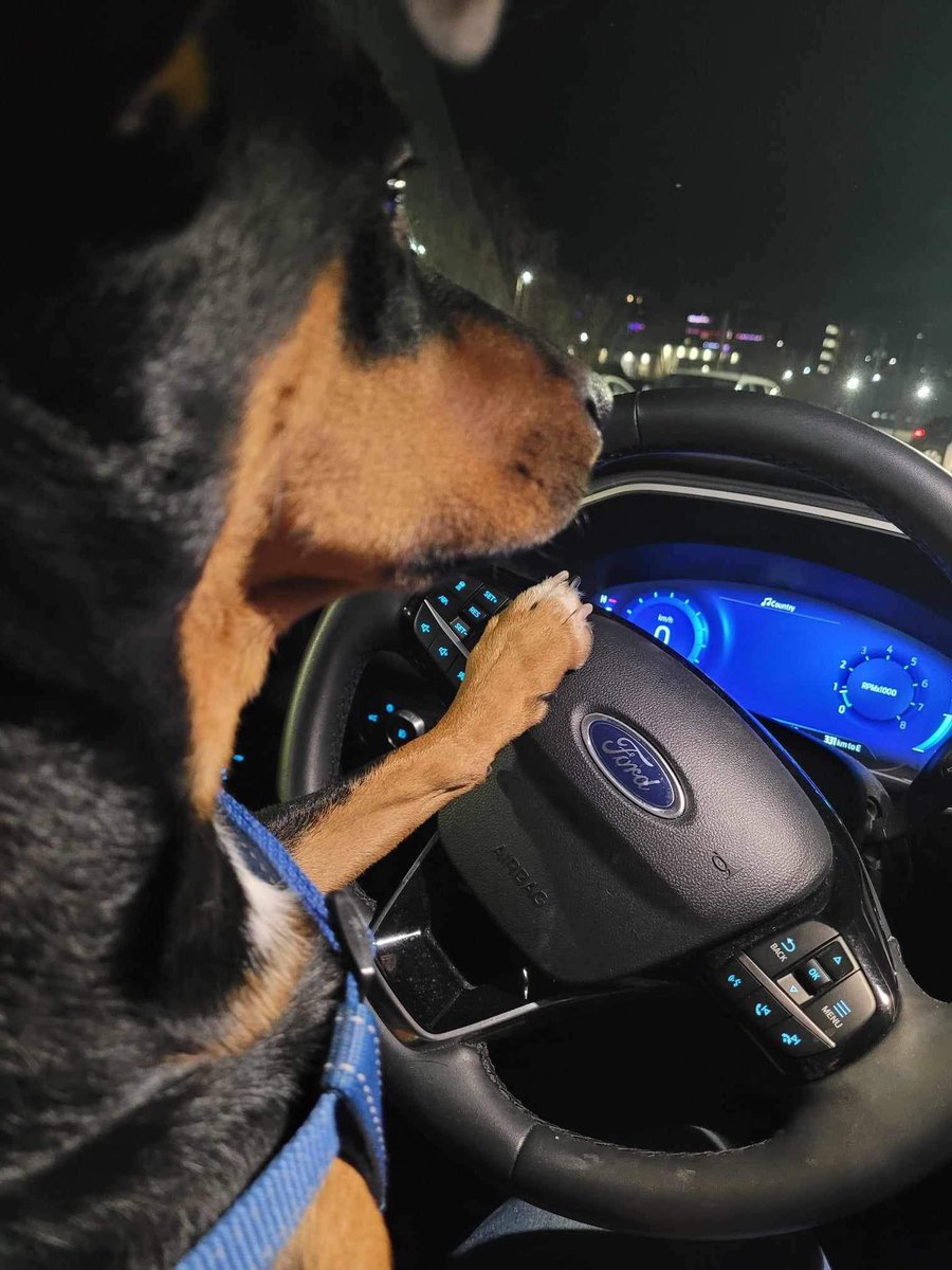 Canadian Realistic tweet media