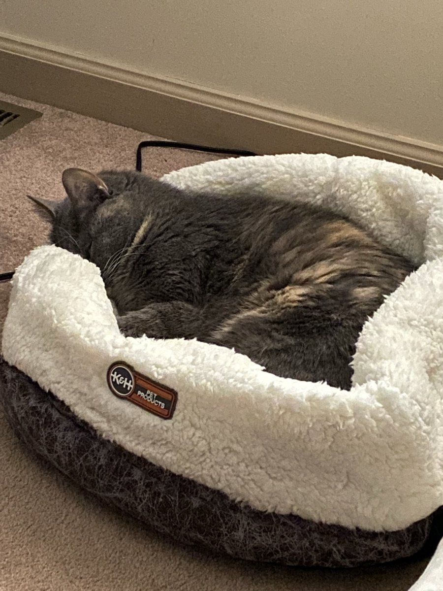 🔥 Nitro | Graphic Designer - VGen tweet media