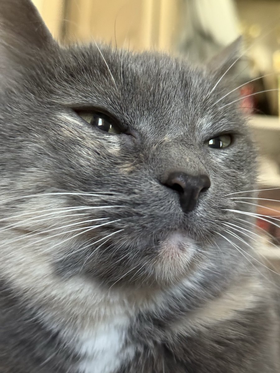 🔥 Nitro | Graphic Designer - VGen tweet media