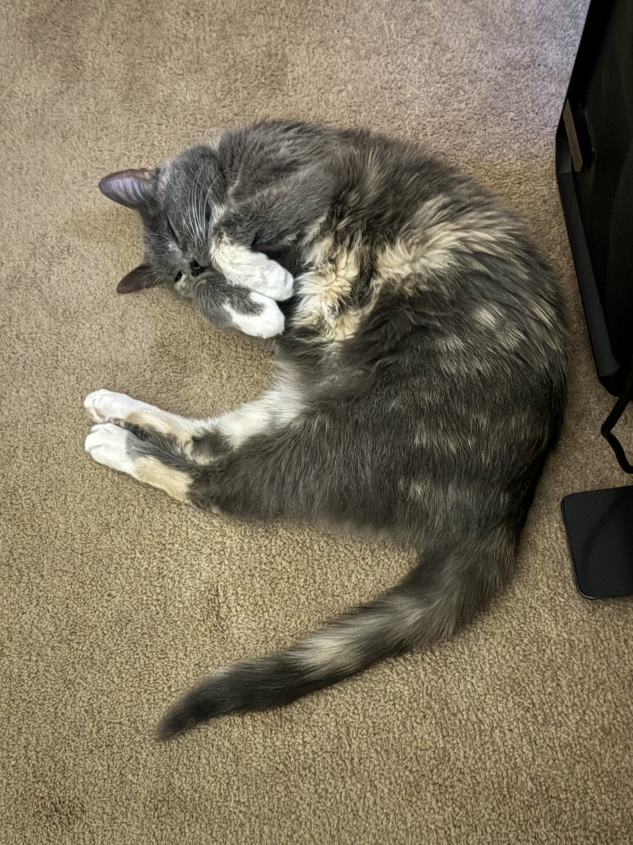 🔥 Nitro | Graphic Designer - VGen tweet media