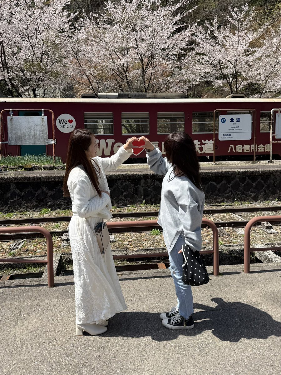 premiumsweets7's tweet photo. まだ楽しめる🌸 https://t.co/Z6MVwUfS04