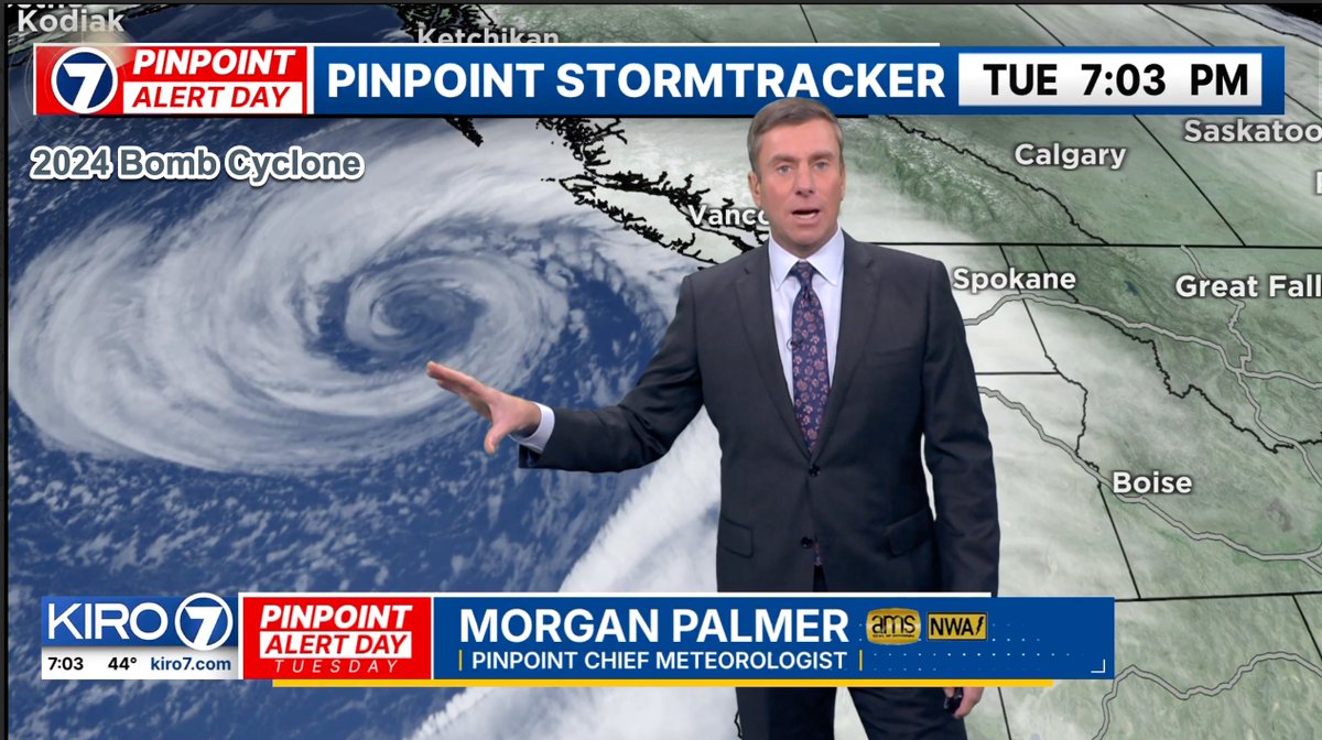 Morgan Palmer tweet media