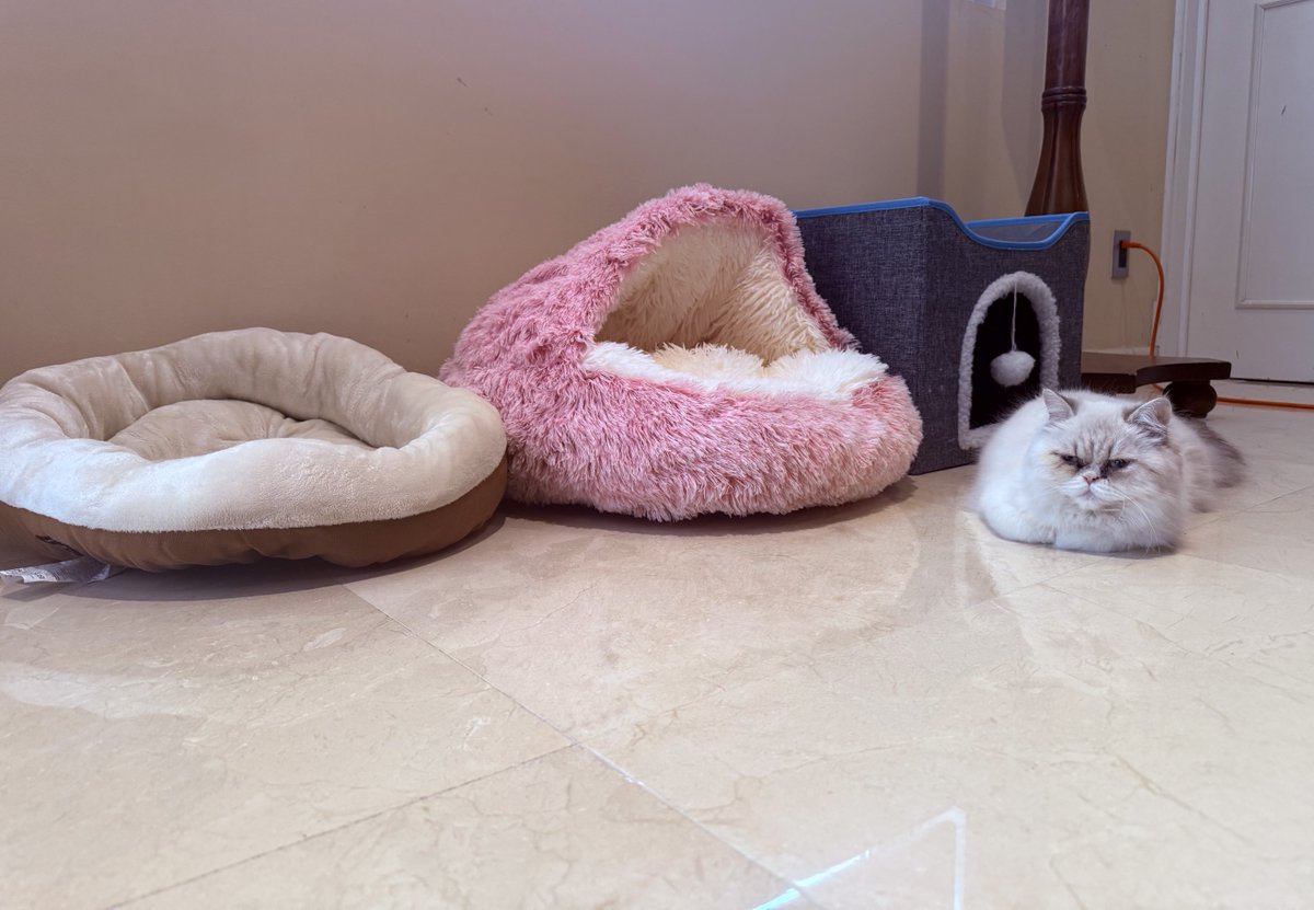 gabrielregino tweet media