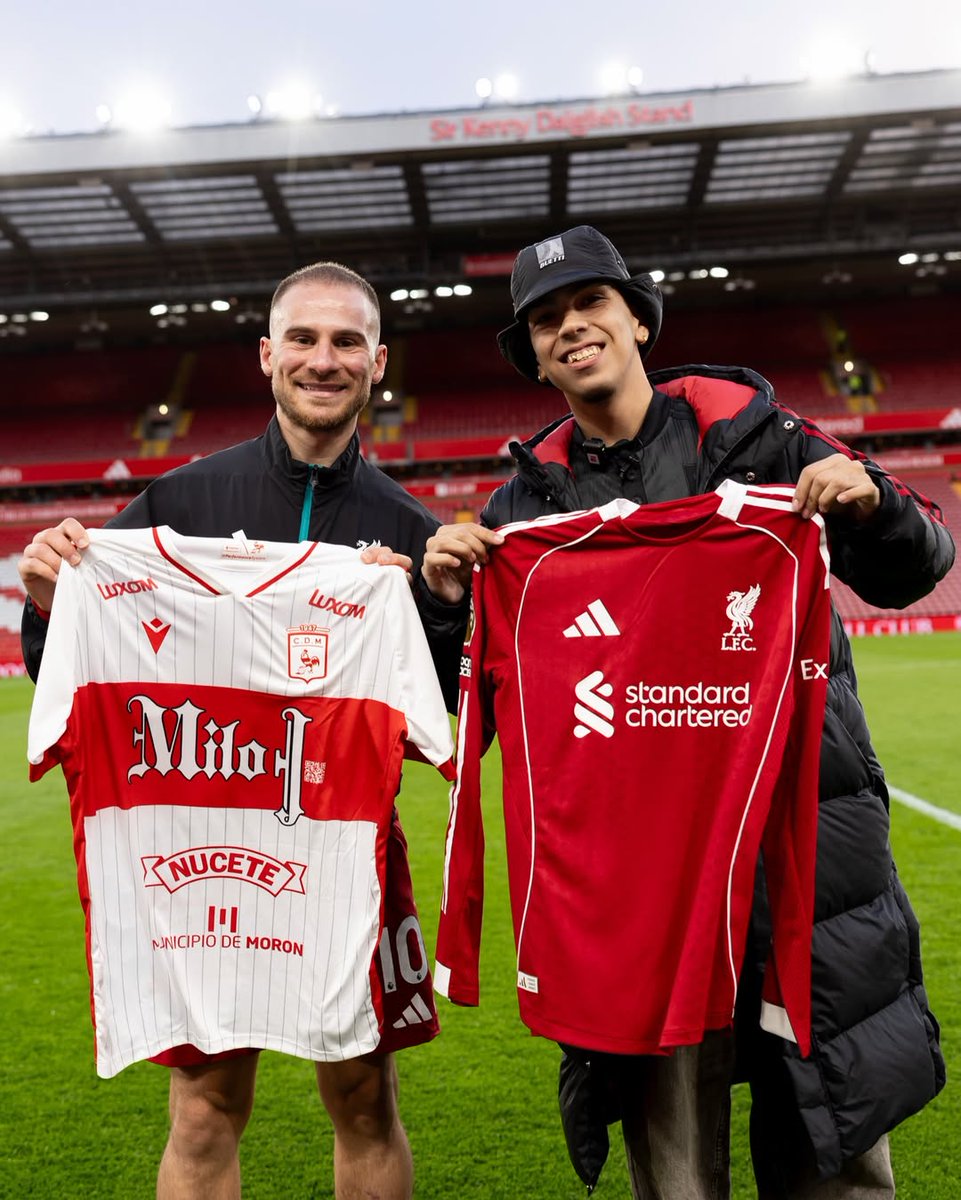 Milo J Data tweet media