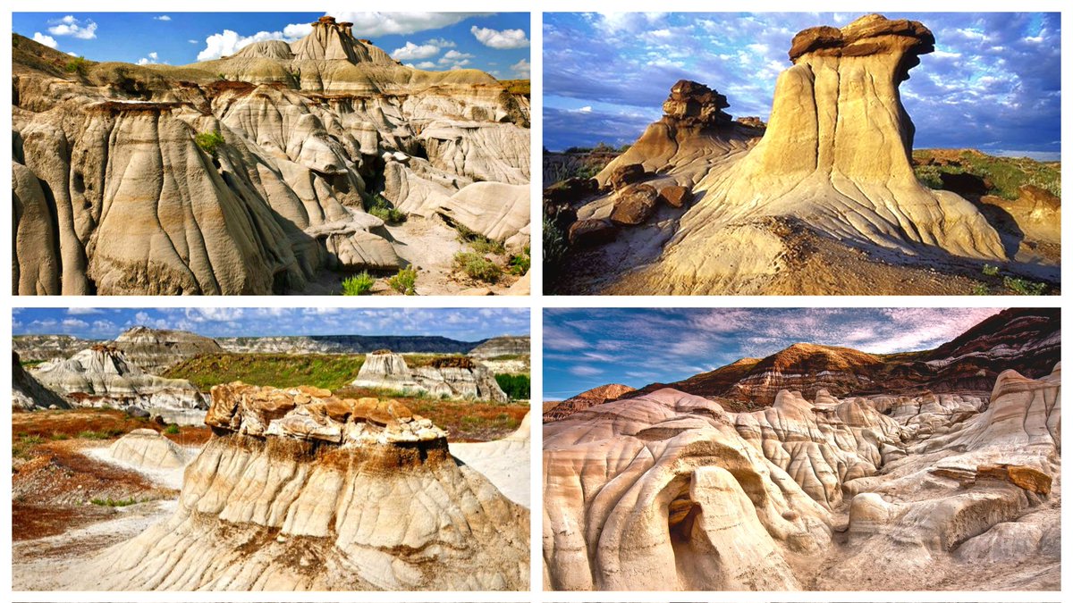 geologyBits's tweet photo. 🟥 ⛏️ The Alberta Badlands are a living archive of Earth’s deep time, where coal seams, dinosaur fossils, and eroded hoodoos reveal the province’s ancient story.
🎞 @milosh9k
🔁 ❤️ - Greatly Appreciated                                                                                 

Beneath the sculpted canyons of Badlands Provincial Park, layers of sandstone and shale record the rise and retreat of inland seas.

The Badlands were lush Cretaceous forests that fed coal formation and the fossilized remains of creatures that once roamed the floodplains.

Each stratum is a chapter in Alberta’s geological timeline: from marine sediments laid down 75 million years ago to the erosional artistry of the last Ice Age that carved today’s surreal landscape.

The mineralogy here is equally rich, iron oxides tint the rocks red and ochre, while carbon-rich seams mark ancient swamps compressed into coal.

Paleontologists still uncover bones and shells that bridge land and sea, connecting Alberta’s Badlands to the global story of evolution and climate change.

Standing among the hoodoos, you’re not just looking at stone, you’re reading the memory of the planet itself.  
#GeologyOfAlberta
https://t.co/bgohrpIlNR