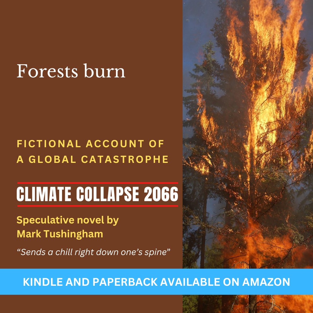 Mark_Tushingham's tweet image. Climate Collapse 2066. Speculative fiction. Chronicle of people struggling to survive runaway climate change. 4.7/5!
#ClimateCrisis #ClimateAction #climatepolitics #ClimateScience #globalwarming #GlobalWeather #Hawaii #methane #Parisagreement #clifi #kindle #ClimateRisk #scifi