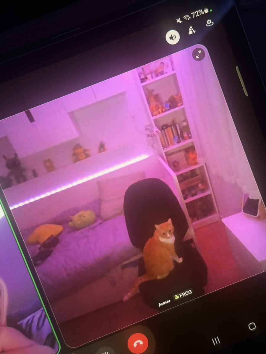 estoy en una llamada importante no molesten