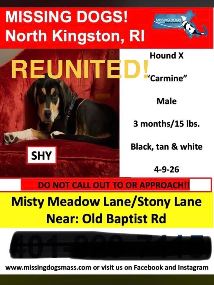 Update: Found and Reunited with family!
Thank you <a href="/Sara22277/">Azztazz</a> for forwarding this great news!
Thank you for sharing:
<a href="/RIFootballClub/">RI Football Club ⚽🏟️🌊🐶</a>
<a href="/BellaMig/">Isabella Miggy</a>
Sue3,13
<a href="/Providence__Guy/">Providence Guy</a>
<a href="/mefay/">Moira E Fay</a>
<a href="/magmug1259/">Maggie</a>
<a href="/Sara22277/">Azztazz</a>
<a href="/SMWesterly/">ServiceMaster Mason</a>
#RI #Rhodeisland