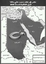 hamada alashry tweet media