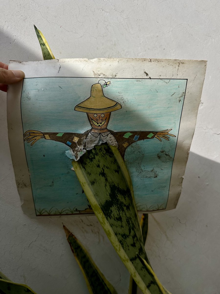 La Selene tweet media