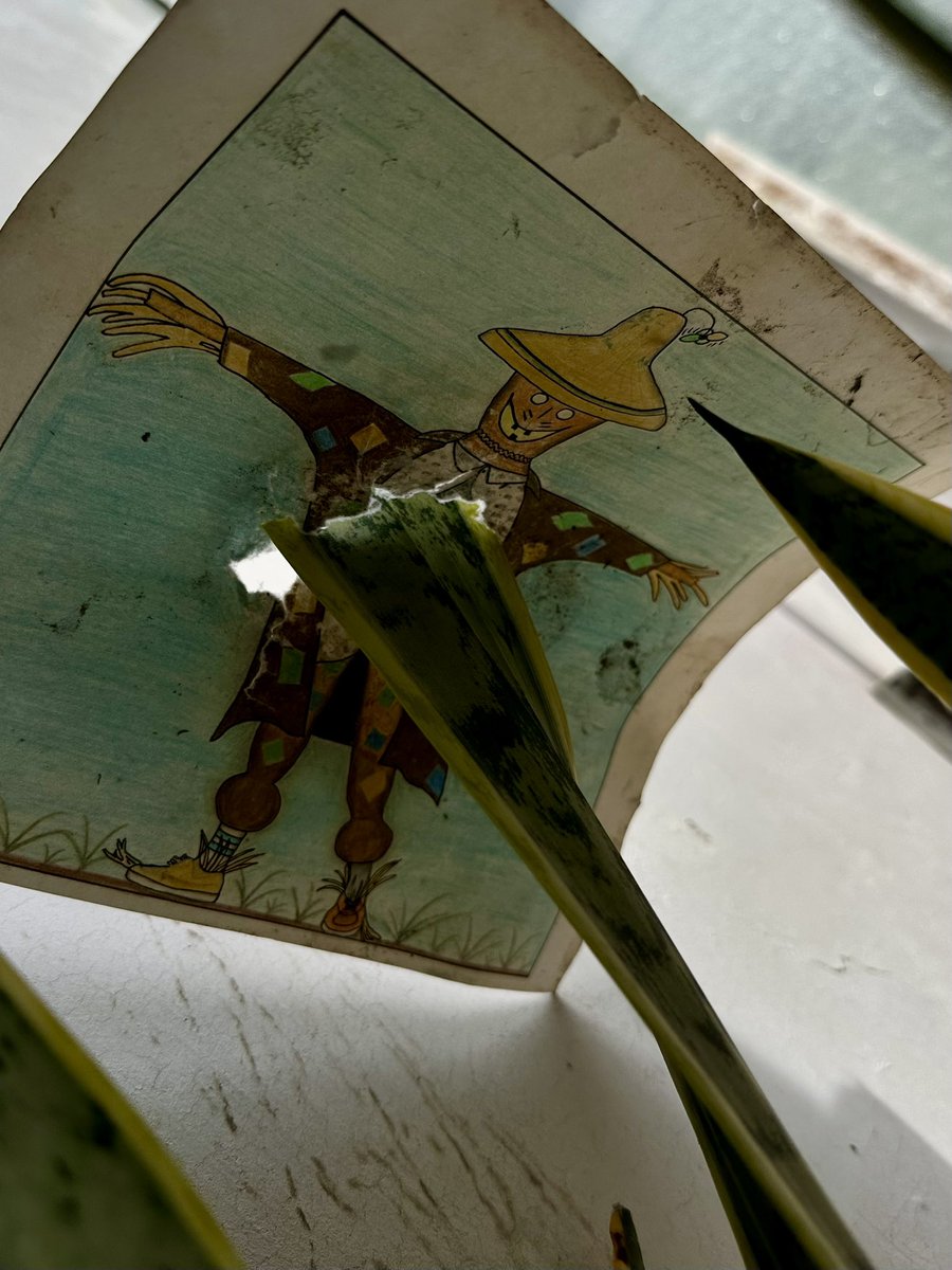 La Selene tweet media