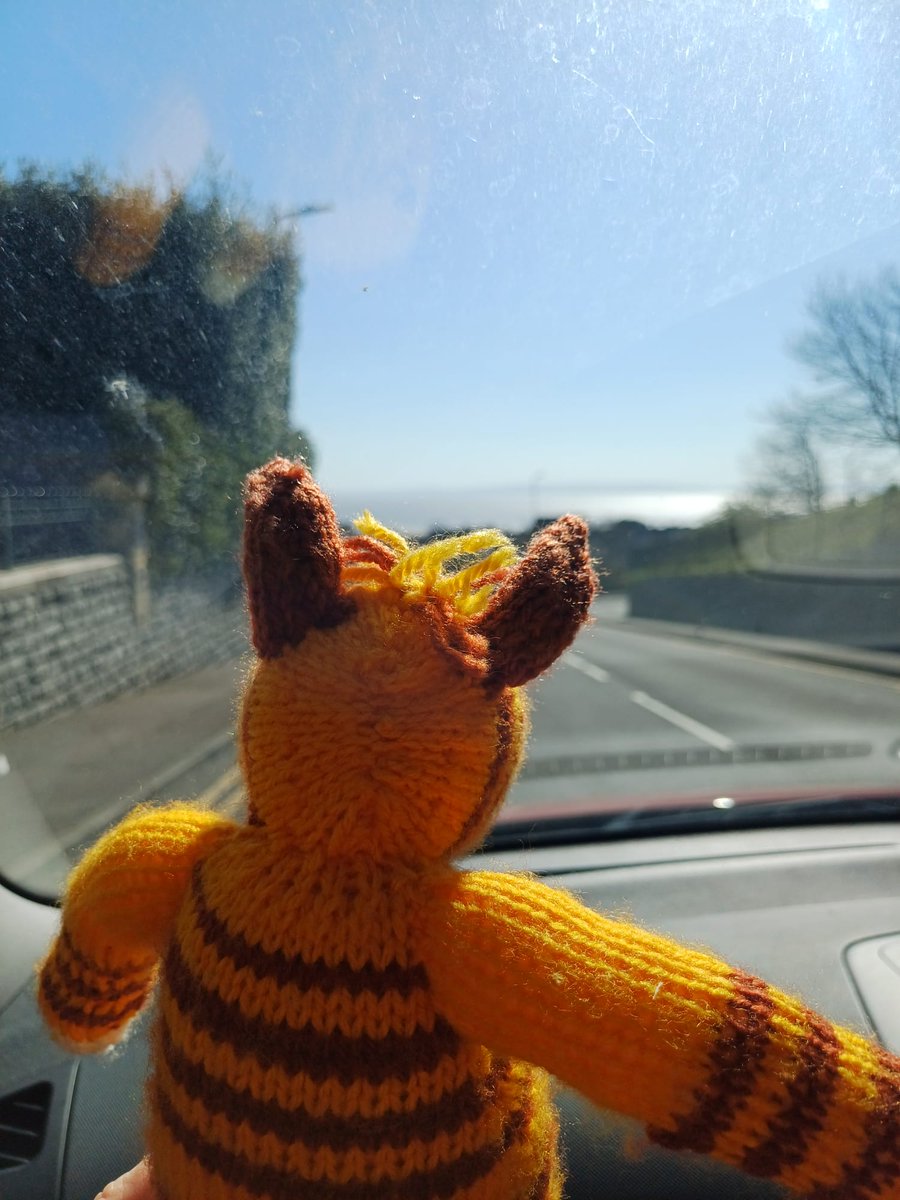 Wilbur Wonkey Mcdonkey tweet media