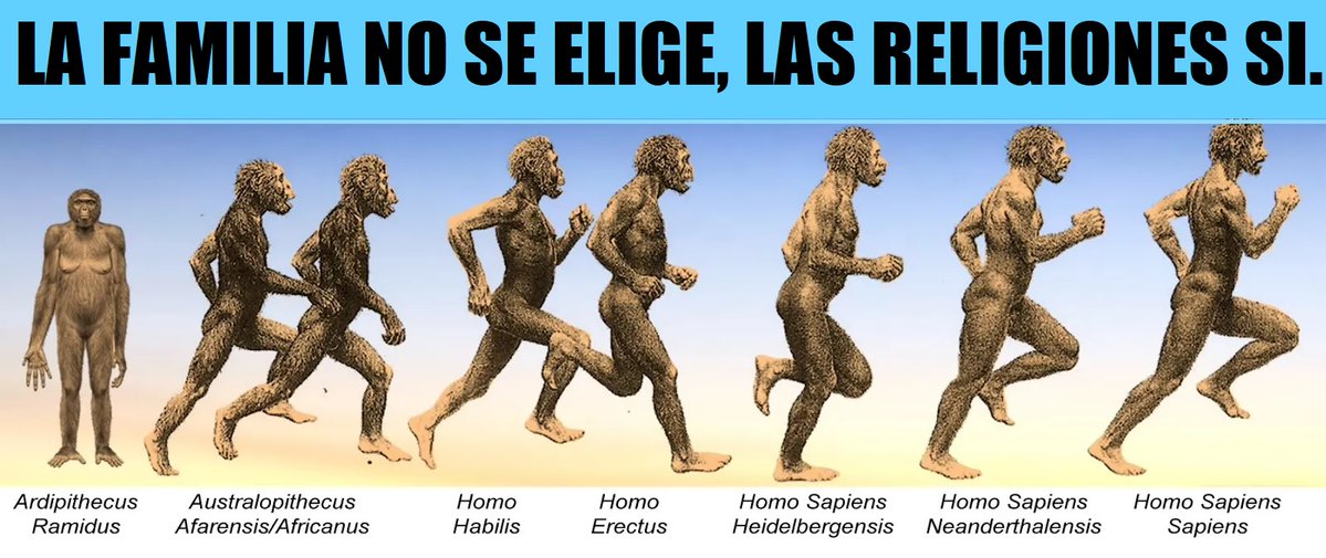 Celso Trujillo Rosales 🏛️​​ tweet media