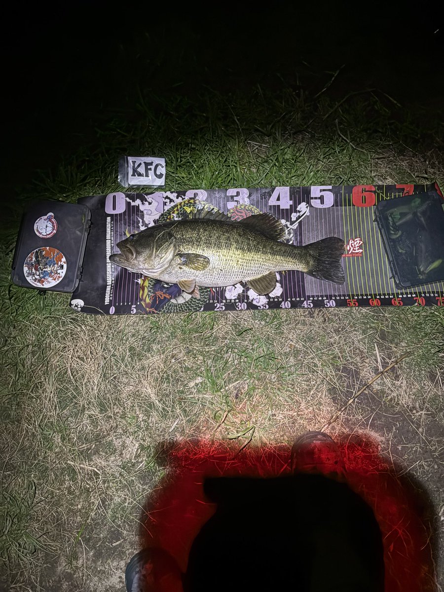 みぃ君 -fishing channel- tweet media