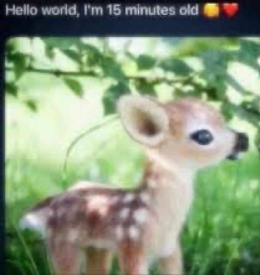 WOR$T FAI$TIE IN AMERICA tweet media