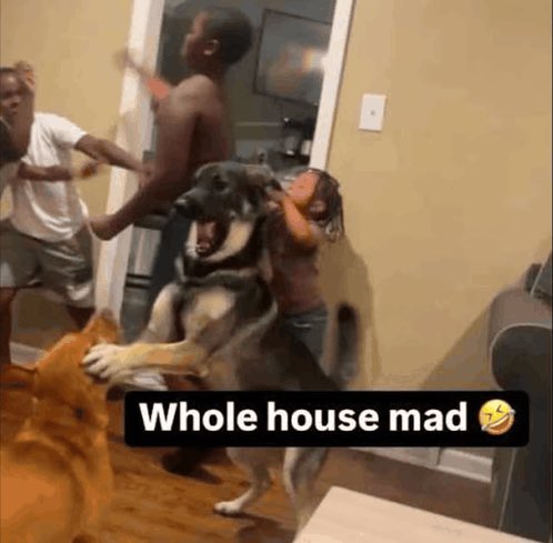 av / mikey ☄️ tweet media